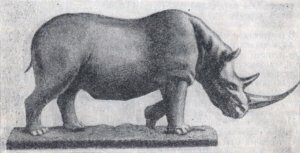 Исследователи обнаружили ископаемое волосатого носорога
