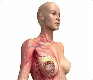 Рак груди можно лечить вирусом герпеса?