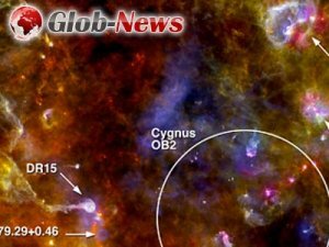 Гершель зафиксировал образование новых звезд в созвездии Лебедя