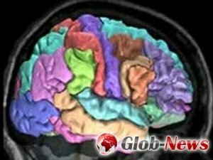 Ученые создали карту мозга