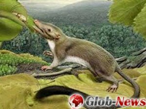 Ученые реконструировали вид предка высших млекопитающих