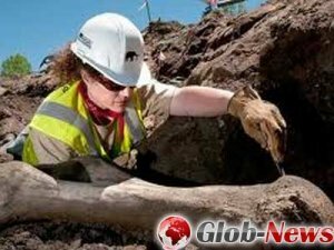 Палеонтологи отыскали в арктической Канаде останки гигантского верблюда