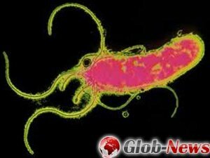Helicobacter Pylori          ...