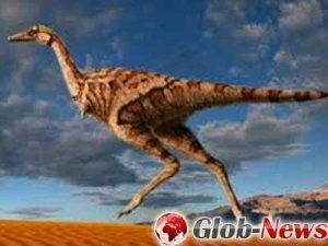 В Забайкалье был найден зуб древнейшего динозавра
