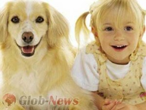 Найдены новые доказательства сходства собаки и человека 